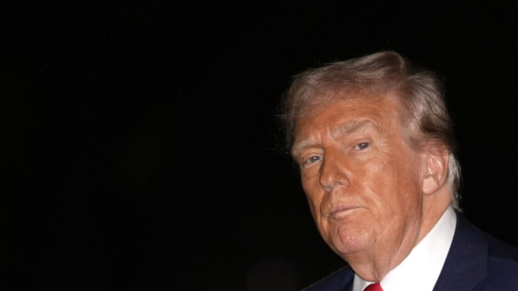 "Zelensky rifiuta accordo terre rare con Trump, strategia 2025"
