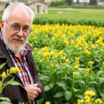 "Sequestro beni per frode fondi europei agricoltura Napoli, oltre un milione di euro"
