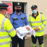 "Otto cuccioli abbandonati a Lercara salvati dai carabinieri e in cura per malnutrizione"