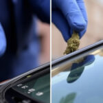 "Fermato a Roma un cinquantenne con uno spinello: 70 panetti di hashish trovati in auto."