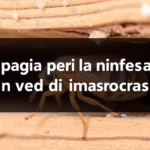 ALT: "Disinfestazione nido di vespe: chi sostiene i costi in condominio o in casa?"
