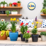 "Scopri le piante ornamentali economiche di Lidl per abbellire gli spazi e migliorare la qualità dell'aria."