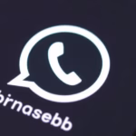 "WhatsApp introduce chat per ospiti: conversazioni sicure senza registrazione."