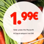 "Offerta Lidl settembre: piante e fiori rari a partire da 1,99 €"