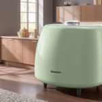 "Giradischi Sharp RP-TT100: innovazione e stile retrò, caratteristiche e prezzo."