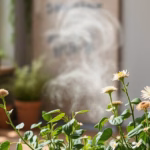 "Immagine di piante che purificano l'aria e combattono la muffa in casa in modo naturale."