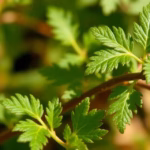 "Allerta glifosato: rischi per la salute dei bambini dai pesticidi nei cibi."